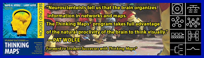 banner-top-thinkingmaps1.3
